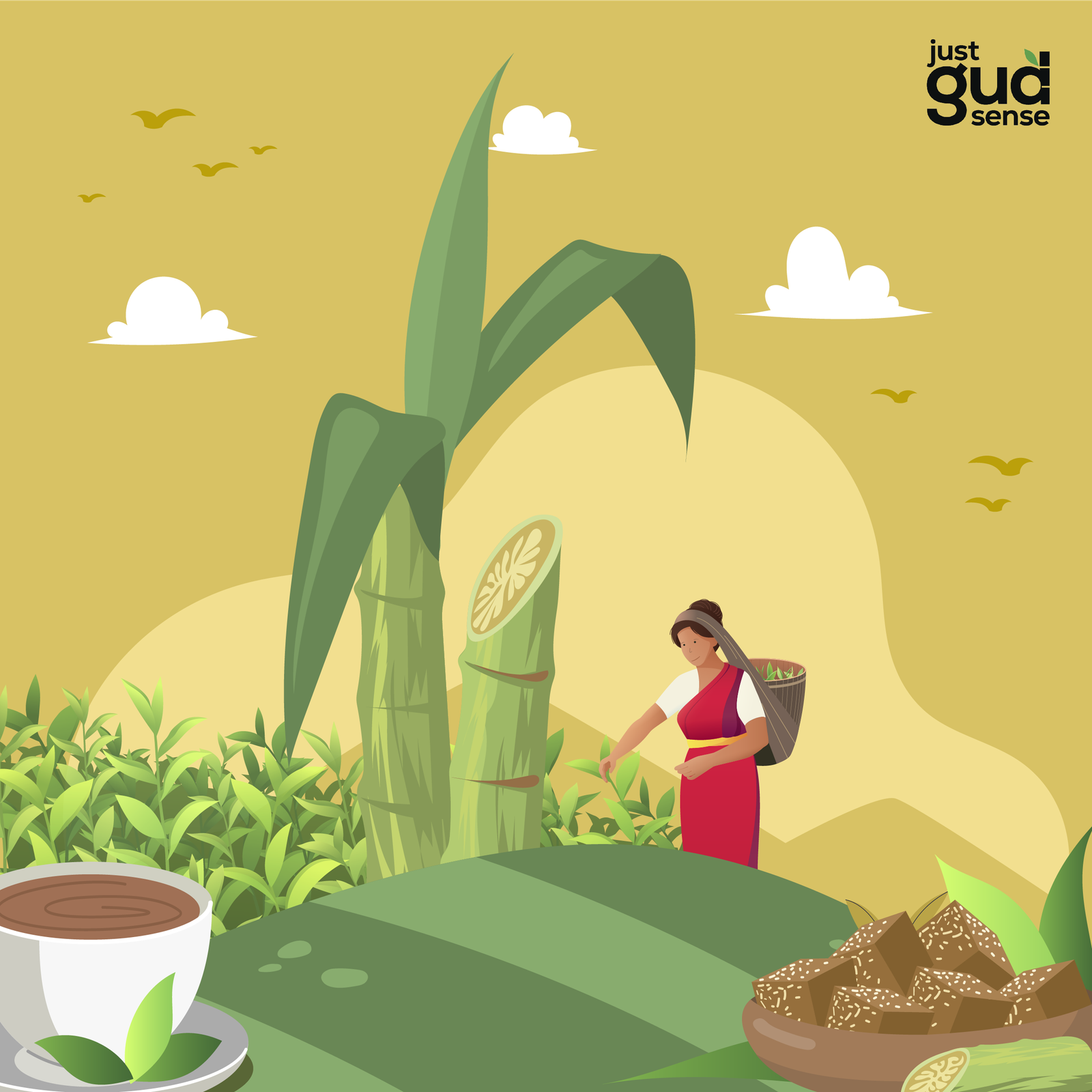 Best Jaggery Brand from India